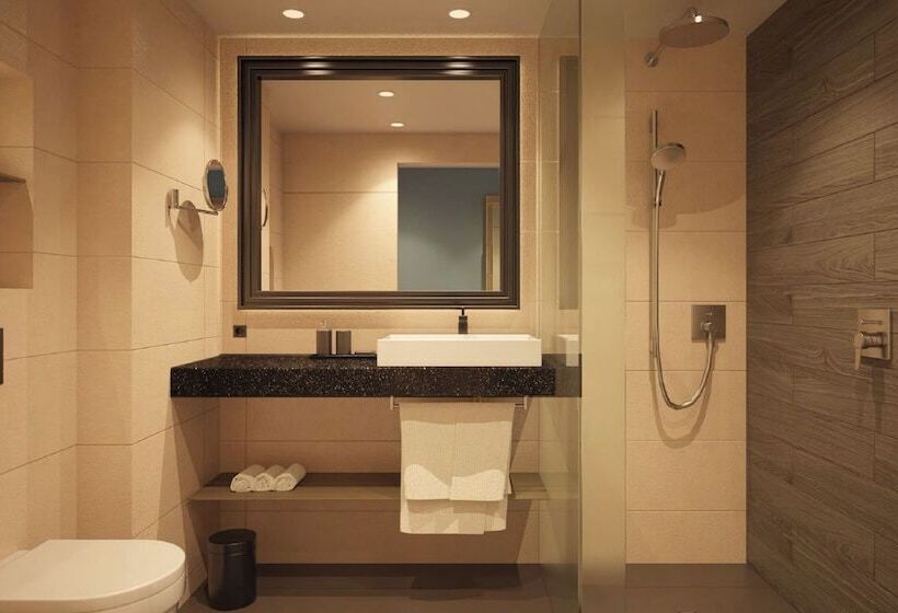Полулюкс, Plaza Premium Heidelberg