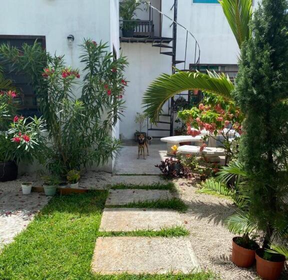 اتاق استاندارد, Almendrita Habitación I