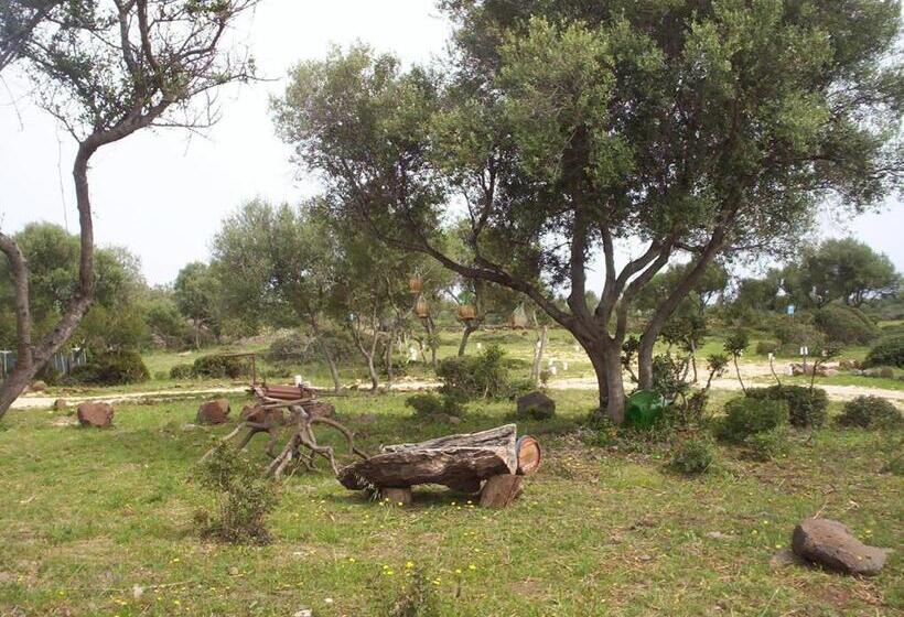 غرفة كلاسيكية رباعية, Ovile Juanne Loddo