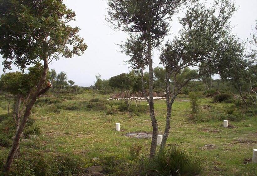 غرفة قياسية ثلاثية, Ovile Juanne Loddo