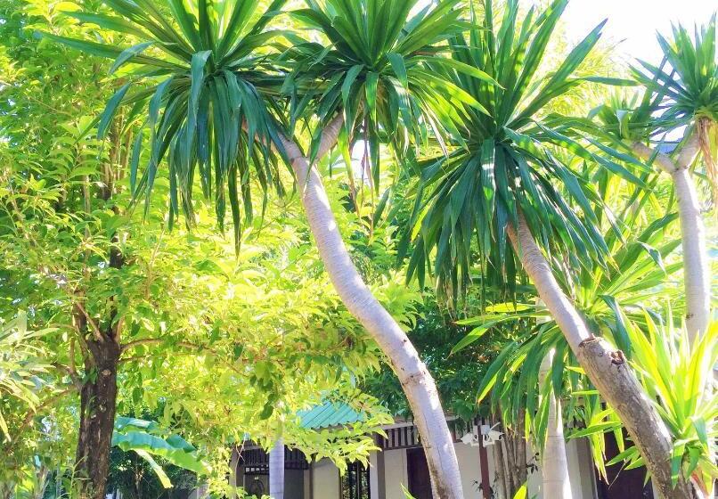 Номер Стандарт, Lamai Inn 99 Bungalows
