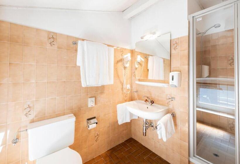 Номер Стандарт, Albergo Ristorante Svizzero