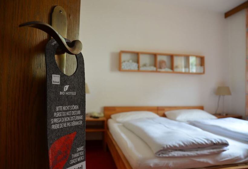 スタンダードルーム, Landhotel Anna