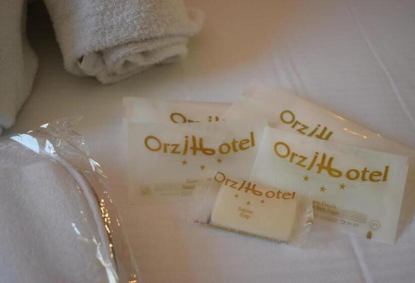 Номер Стандарт Трехместный, Orzi