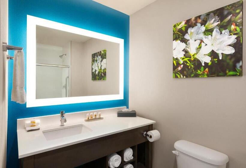 Номер Стандарт, La Quinta By Wyndham Gainesville