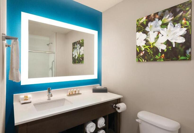 Студия Стандарт, La Quinta By Wyndham Gainesville
