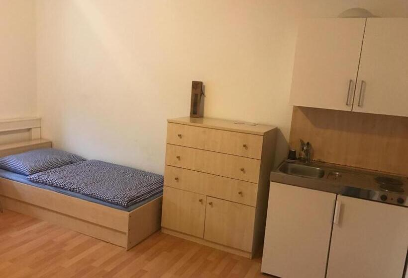 اتاق اکونومی یک تخته, Montagehotel Living@linz