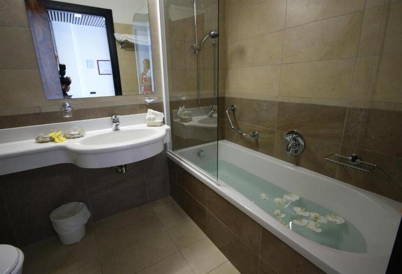 اتاق استاندارد با چشم‌انداز دریاچه, Ilma Lake Garda Resort