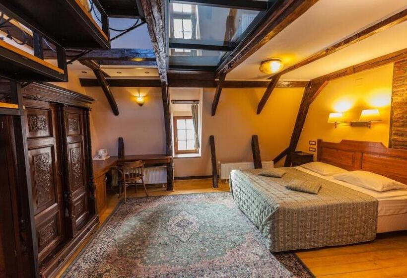 带山景的复式房间, Casa Wagner