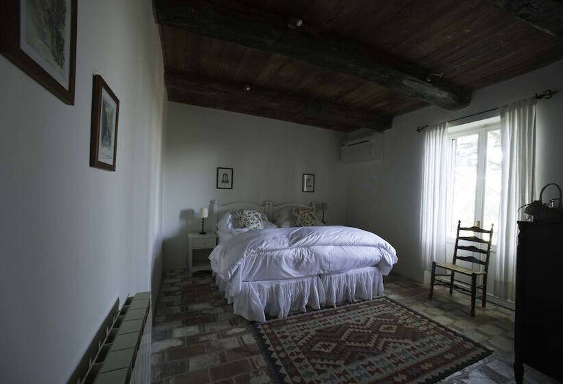 Номер Стандарт, Tenuta Santo Pietro