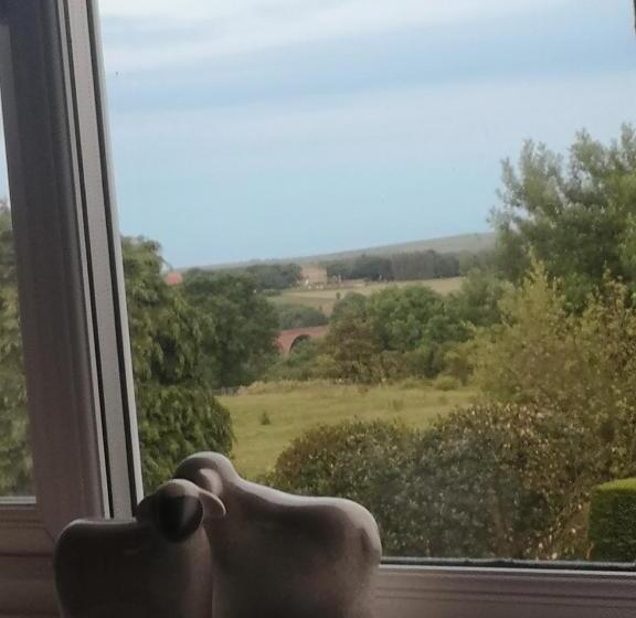اتاق استاندارد با تخت بزرگ, Greystones Guesthouse