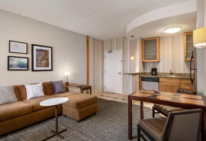 Standard Studio King Bed, Residence Inn Chattanooga Near Hamilton Place