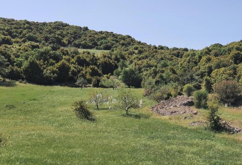 اتاق استاندارد با چشم‌انداز باغ, Hadrian S Arch