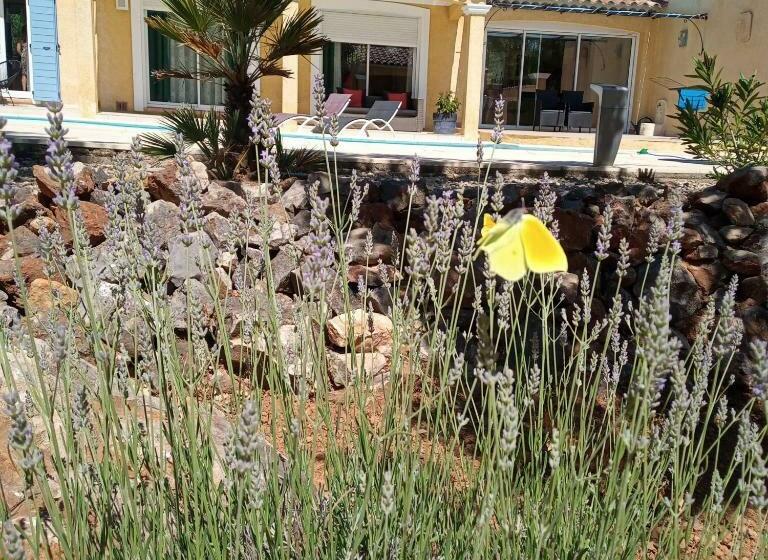 Номер Стандарт Вид на Бассейн, Chambres D Hãƒæ’ã‚â´tes Dans Authentique Mas Avec Piscine En Provence