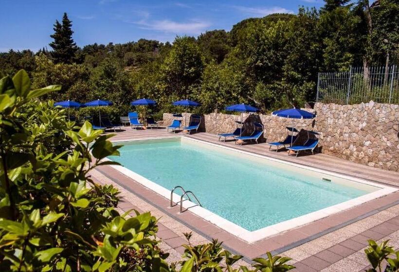Номер Стандарт, Villa Paradiso