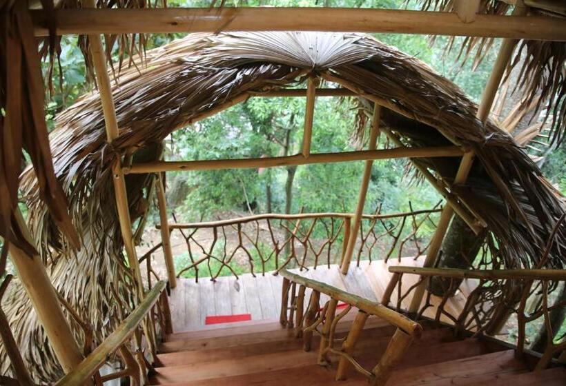 کلبه ییلاقی, Eco Village
