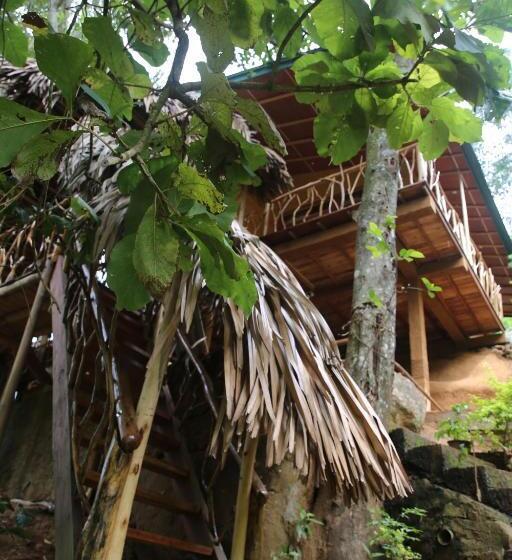 کلبه ییلاقی, Eco Village