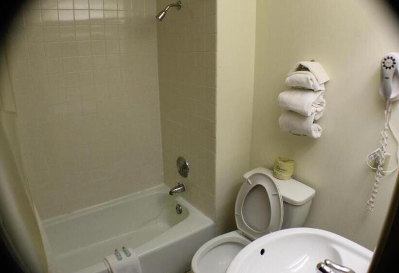 带大床的标准间, Americas Best Value Inn Geneva