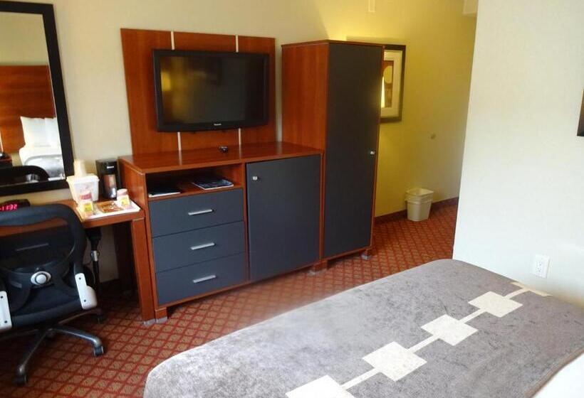 장애인을 위한 스탠다드 룸, Ramada By Wyndham Staten Island