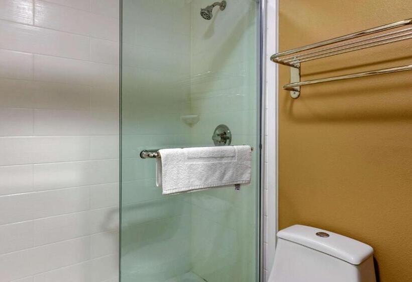 스탠다드 룸, Quality Inn & Suites
