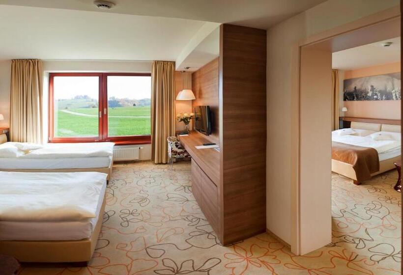 Номер Стандарт с доступом в Спа, Grund Resort Golf And Ski