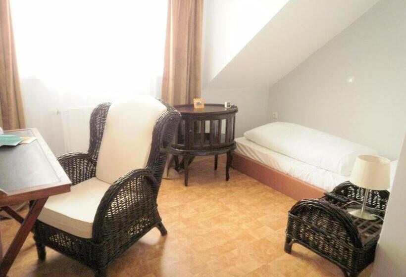 Номер Стандарт Индивидуальный, Stadtvilla Auerhahn