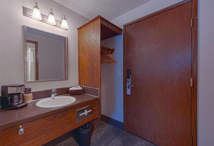 Номер Deluxe, Silver Inn