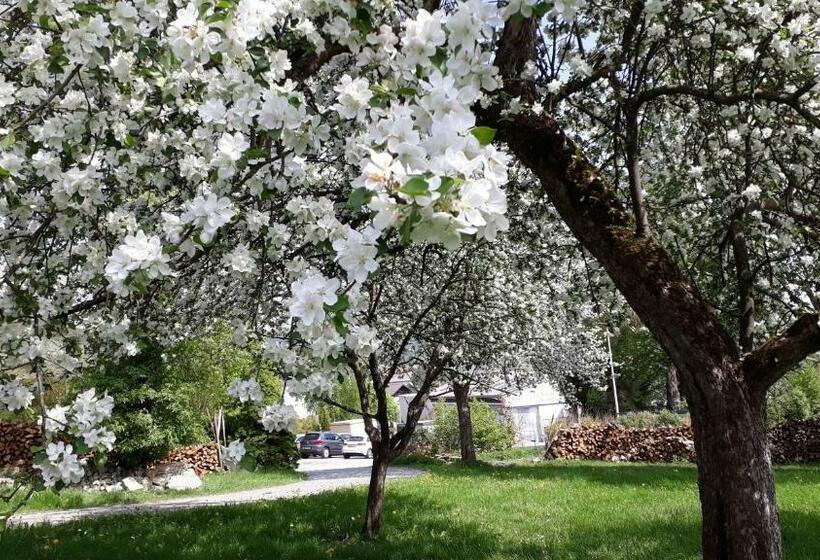 Апартаменты 3 Спальни, Ferienwohnungen Veit