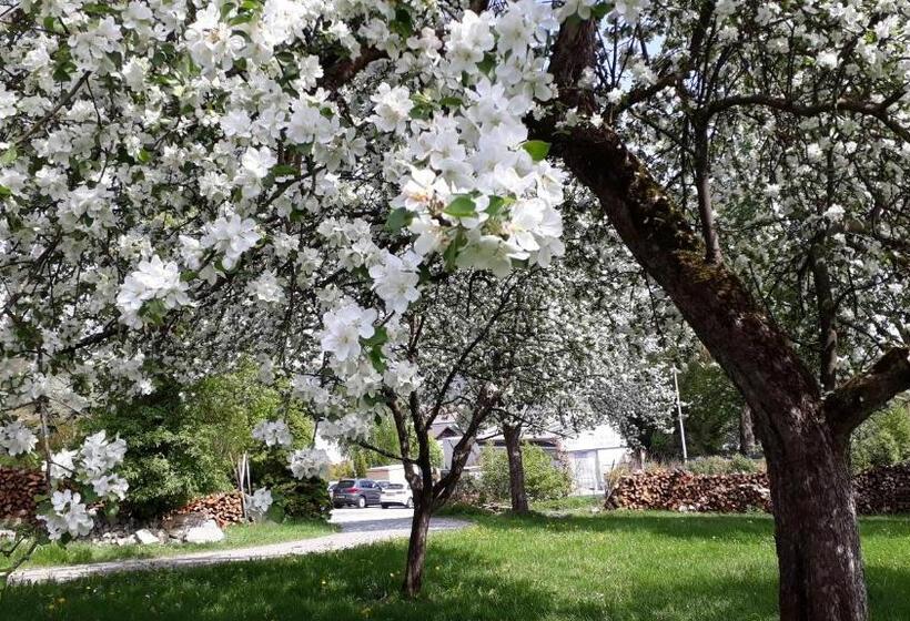 Апартаменты 1 Спальня, Ferienwohnungen Veit