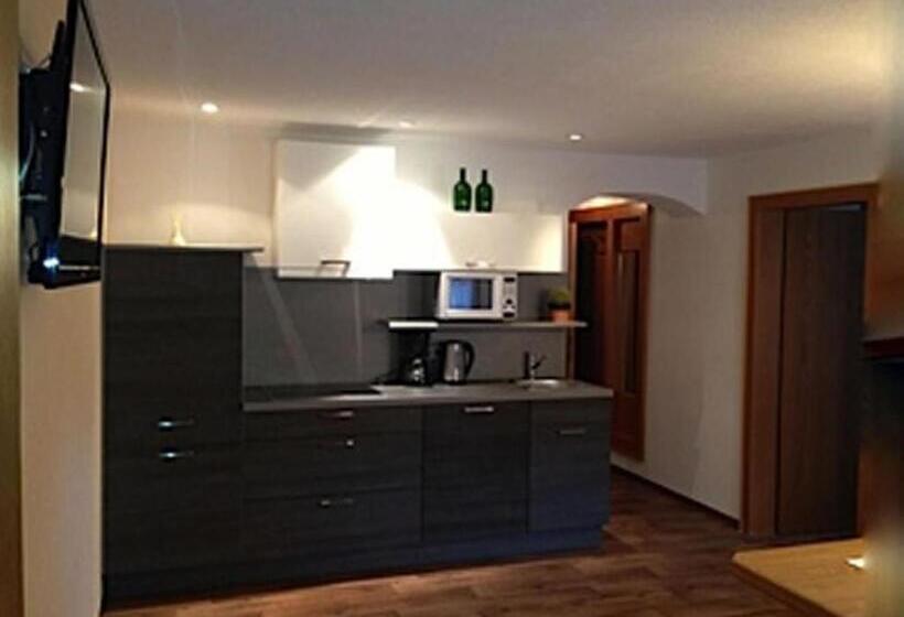 Апартаменты 1 Спальня, Appartements Gästehaus Schrott