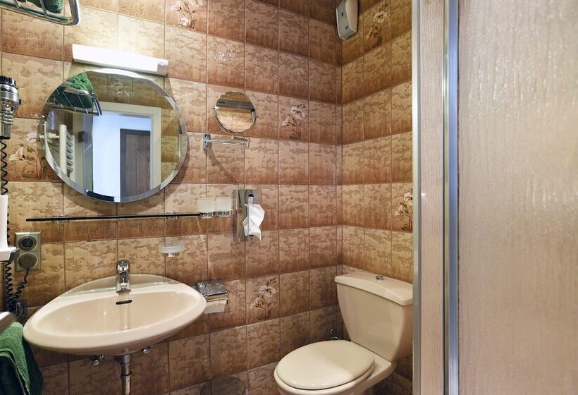 Номер Стандарт Индивидуальный, Gasthof & Hotel Goldener Hirsch