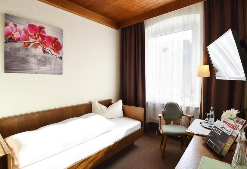 Номер Стандарт Индивидуальный, Gasthof & Hotel Goldener Hirsch