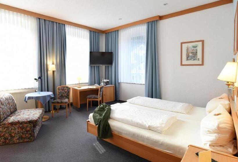 Номер Стандарт, Gasthof & Hotel Goldener Hirsch