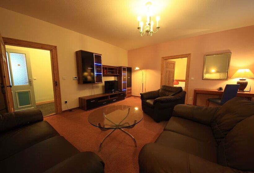 Апартаменты 1 Спальня, Altstadthotel Fürth