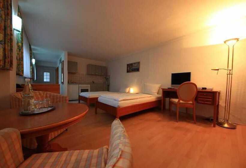 Апартаменты 1 Спальня, Altstadthotel Fürth
