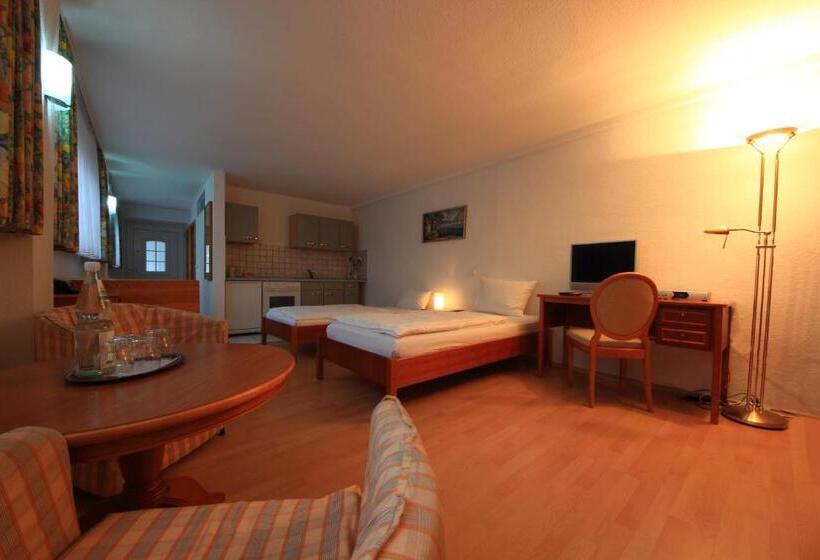 Апартаменты 1 Спальня, Altstadthotel Fürth