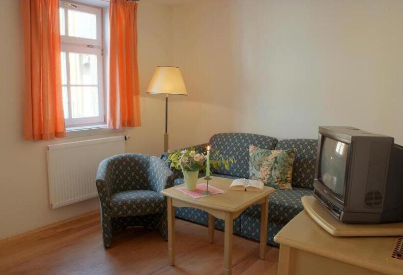Апартаменты 1 Спальня, Altstadthotel Garni Schlundhaus & Rautenkranz