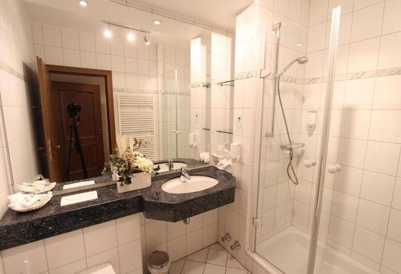 舒适型单人间, Akzent Hotel Jonathan