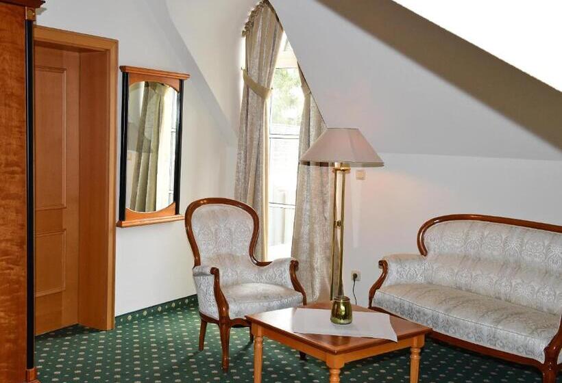 Номер Deluxe, Aslan Kurpark Villa Olsberg