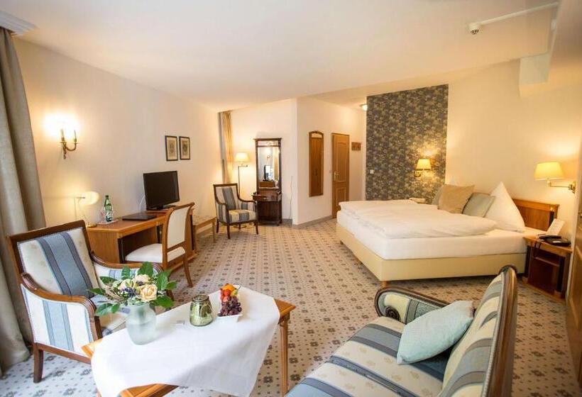 Номер Deluxe, Aslan Kurpark Villa Olsberg