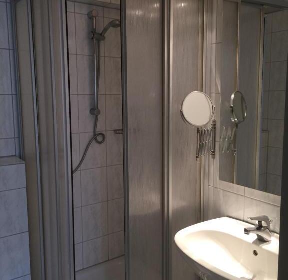 Номер Стандарт Индивидуальный, Central Hotel Troisdorf