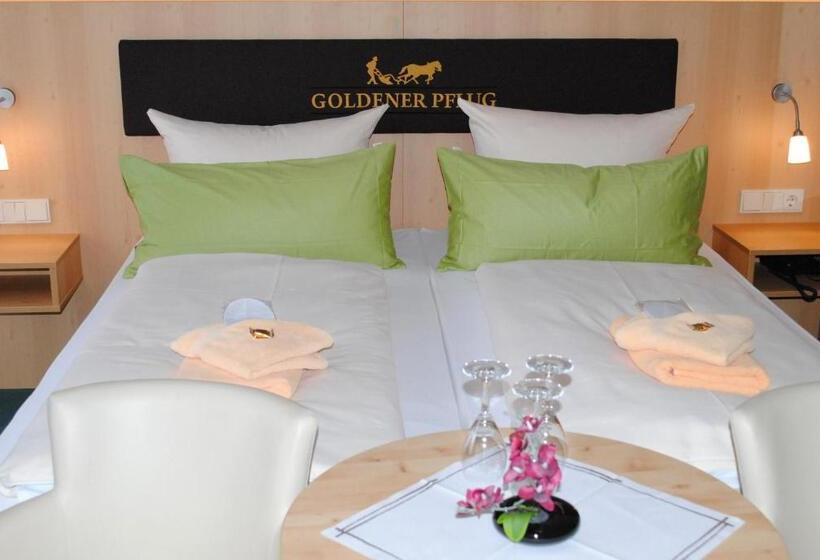 Номер Стандарт Трехместный, Landgasthof Goldener Pflug