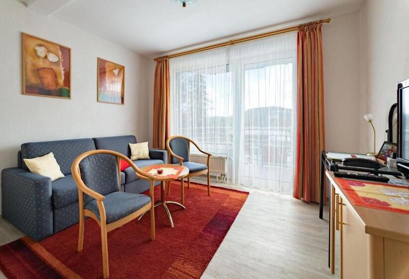 غرفة ديلوكس, Schröder S Hotelpension