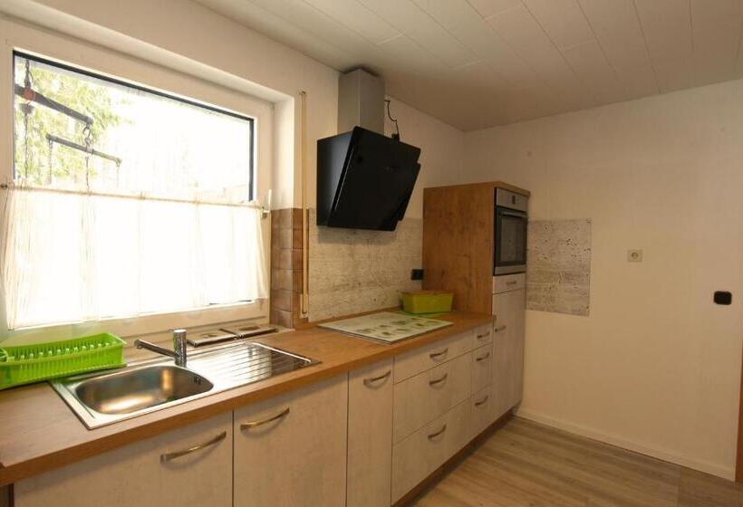 إستوديو قياسى, Schröder S Hotelpension