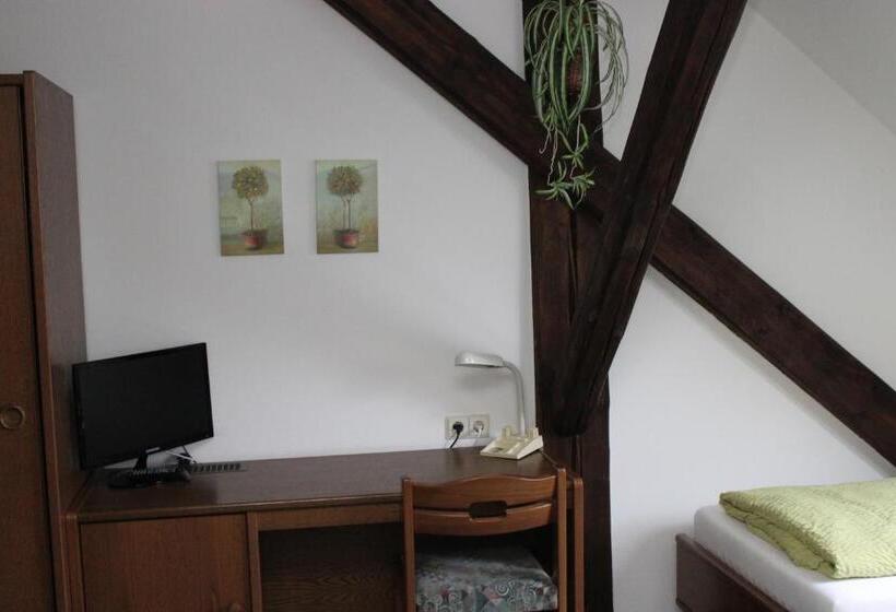 标准单人间, Gasthof Und Pension Frankenthal   Garni