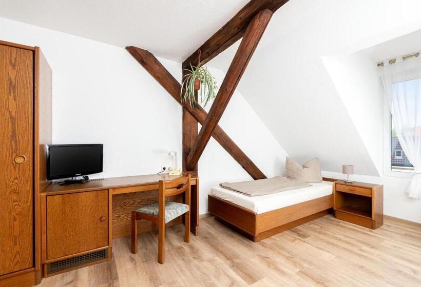 标准单人间, Gasthof Und Pension Frankenthal   Garni