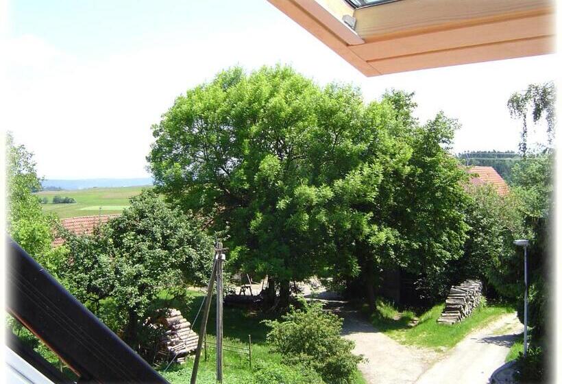 Номер Стандарт, Gasthof Hotel Traube