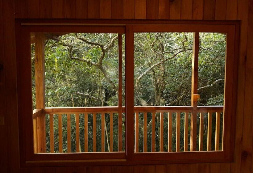 Номер Комфорт, Mount Totumas Cloud Forest