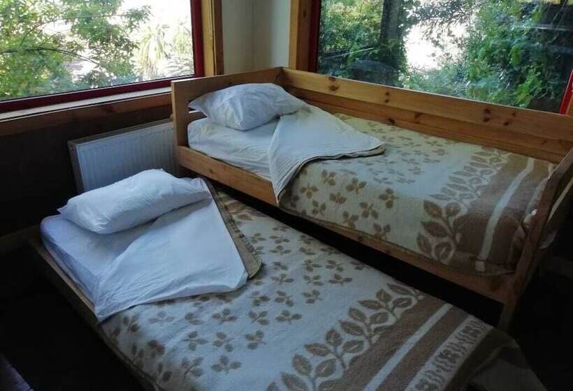 오두막, Almabosque Cabañas