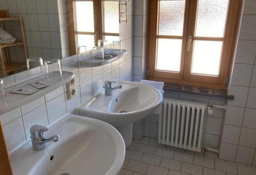 Апартаменты 1 Спальня с Видом, Gästehaus Menkenbauer